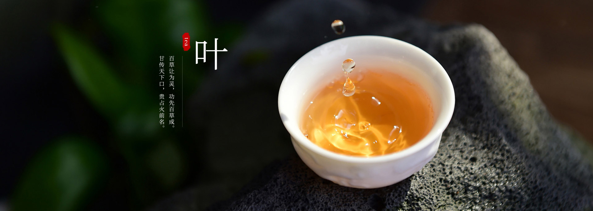 桂林茶叶专卖企业网站